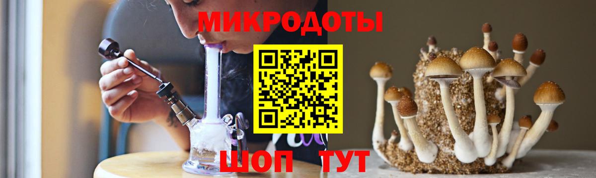 Галлюциногенные грибы Psilocybine cubensis  Вход с VPN  Реж  Псилоцибиновые грибы Psilocybine cubensis 