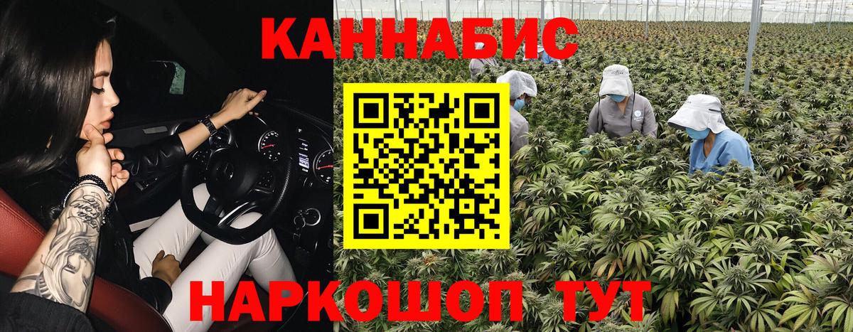 Реж  Бошки Шишки Amnesia  Бошки Шишки VHQ  Бошки марихуана семена  Каннабис план  Вход с VPN 